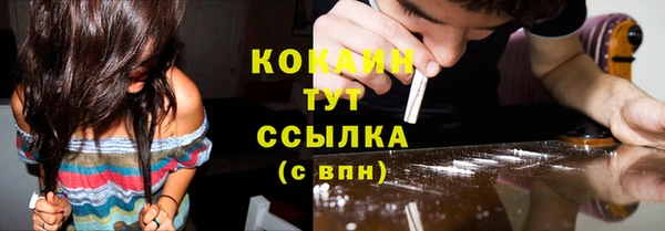 кокс Алексин