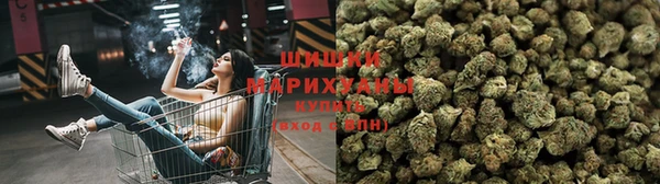 кокс Алексин