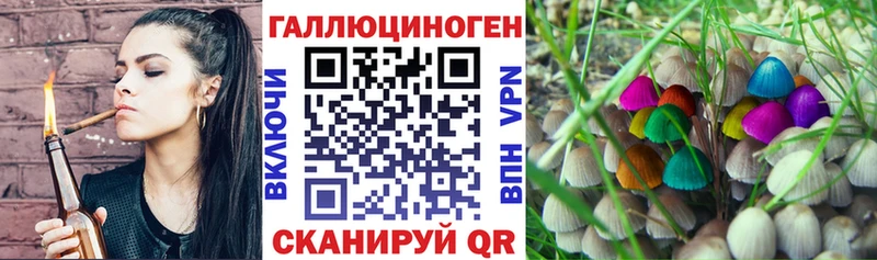 Псилоцибиновые грибы Cubensis  Красноярск 