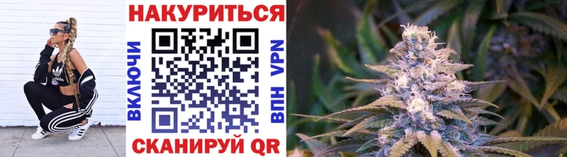 блэк спрут зеркало Красноярск Бошки Шишки White Widow